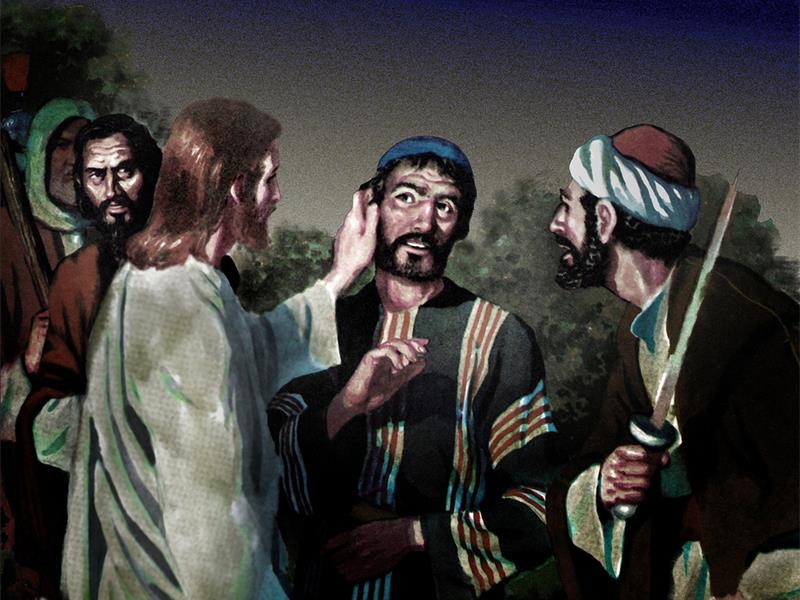 Peter and the Disciples: Cowards or Brave? - ChristianWeek